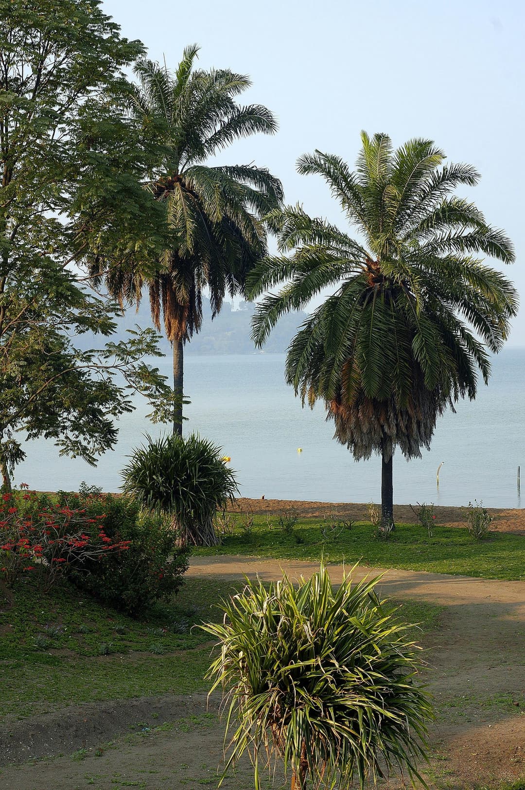 Frequently Asked Questions about Property Bulbul
