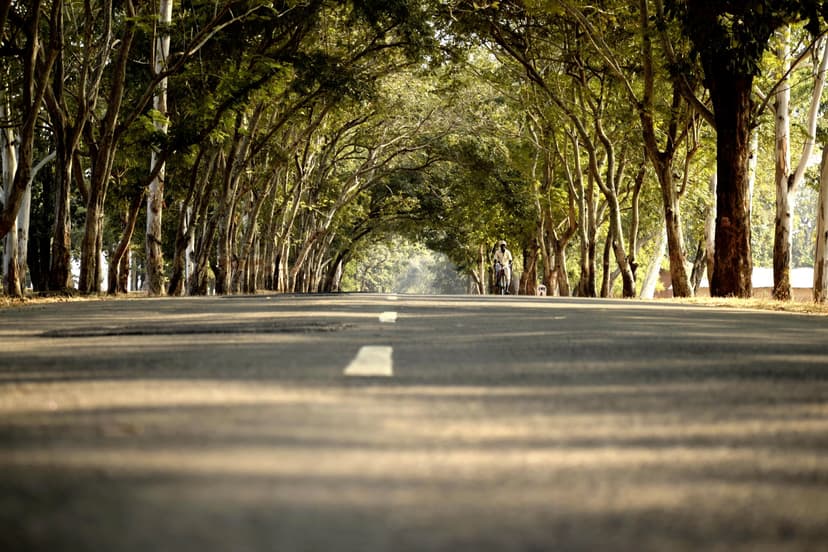 Where to List Your Property for Sale in Chandigarh Tricity (2026): Every Option, and What Selling Actually Costs