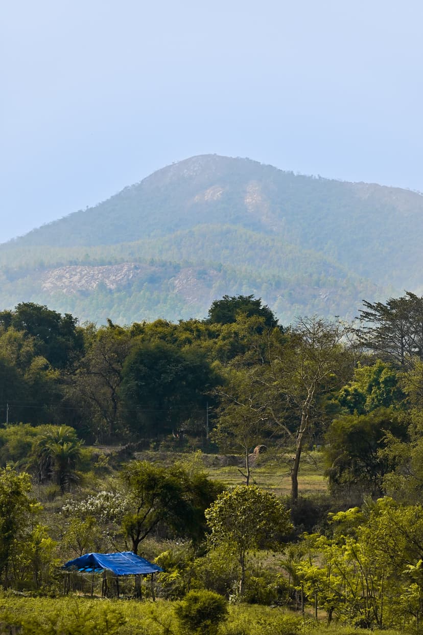 Farm Houses, Land & Plots in Morni Hills, Panchkula: A Weekend Escape Near Chandigarh